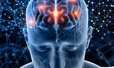 Como o cérebro humano funciona